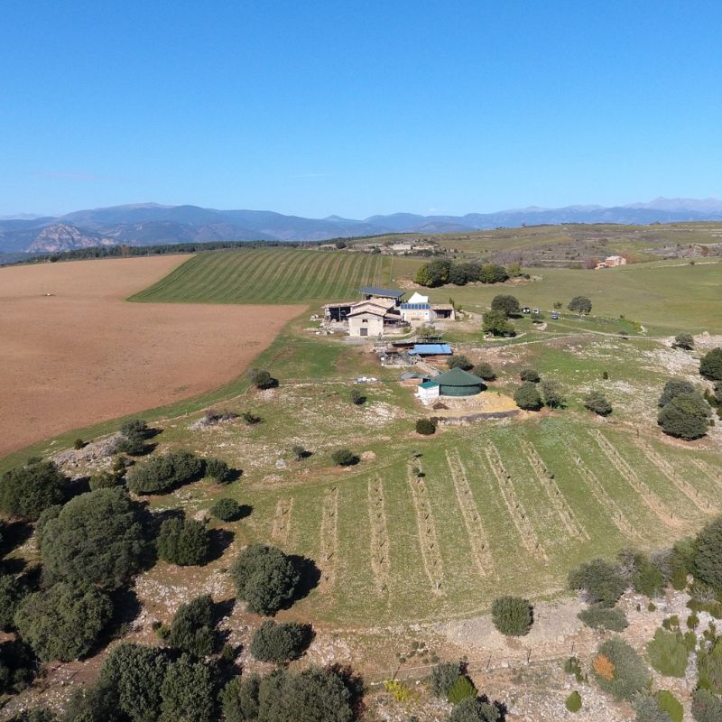 Campo con granja y montañas