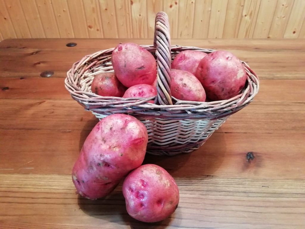 Cesta con papas rojas