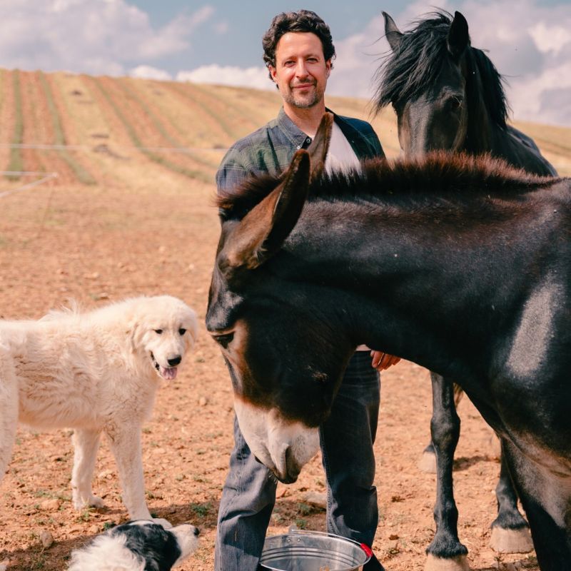 Hombre con animales de granja