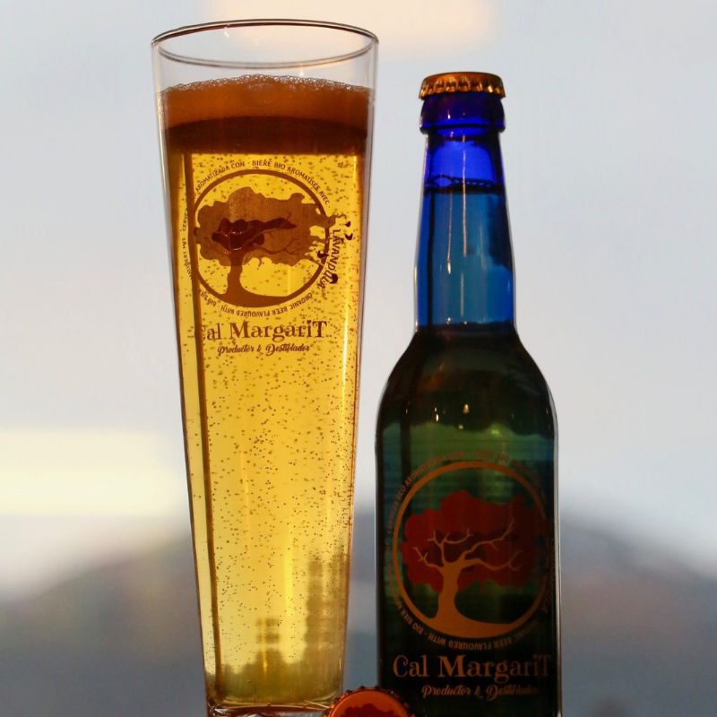 Vaso y botella de cerveza